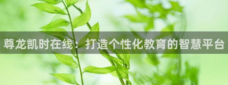 尊龙凯时在线：打造个性化教育的智慧平台