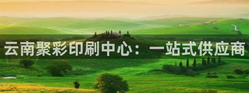 云南聚彩印刷中心：一站式供应商