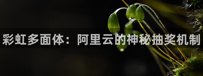 7790必发集团凯捷开号链接