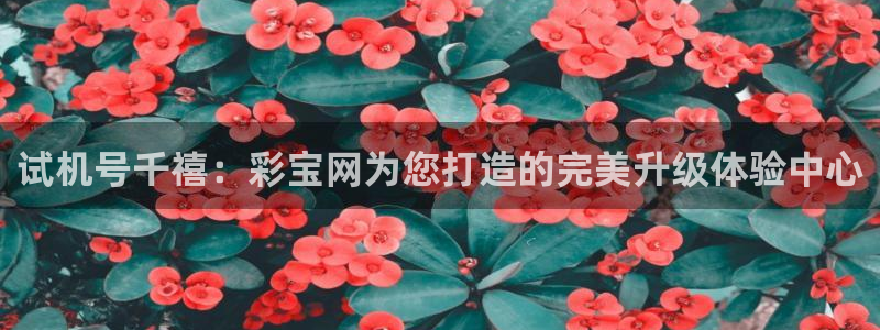 7790必发集团体育热门赛事有哪些
